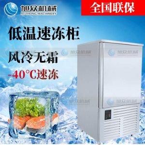 XZ-E10速（sù）凍櫃