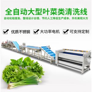 全（quán）自（zì）動大型葉菜清洗線